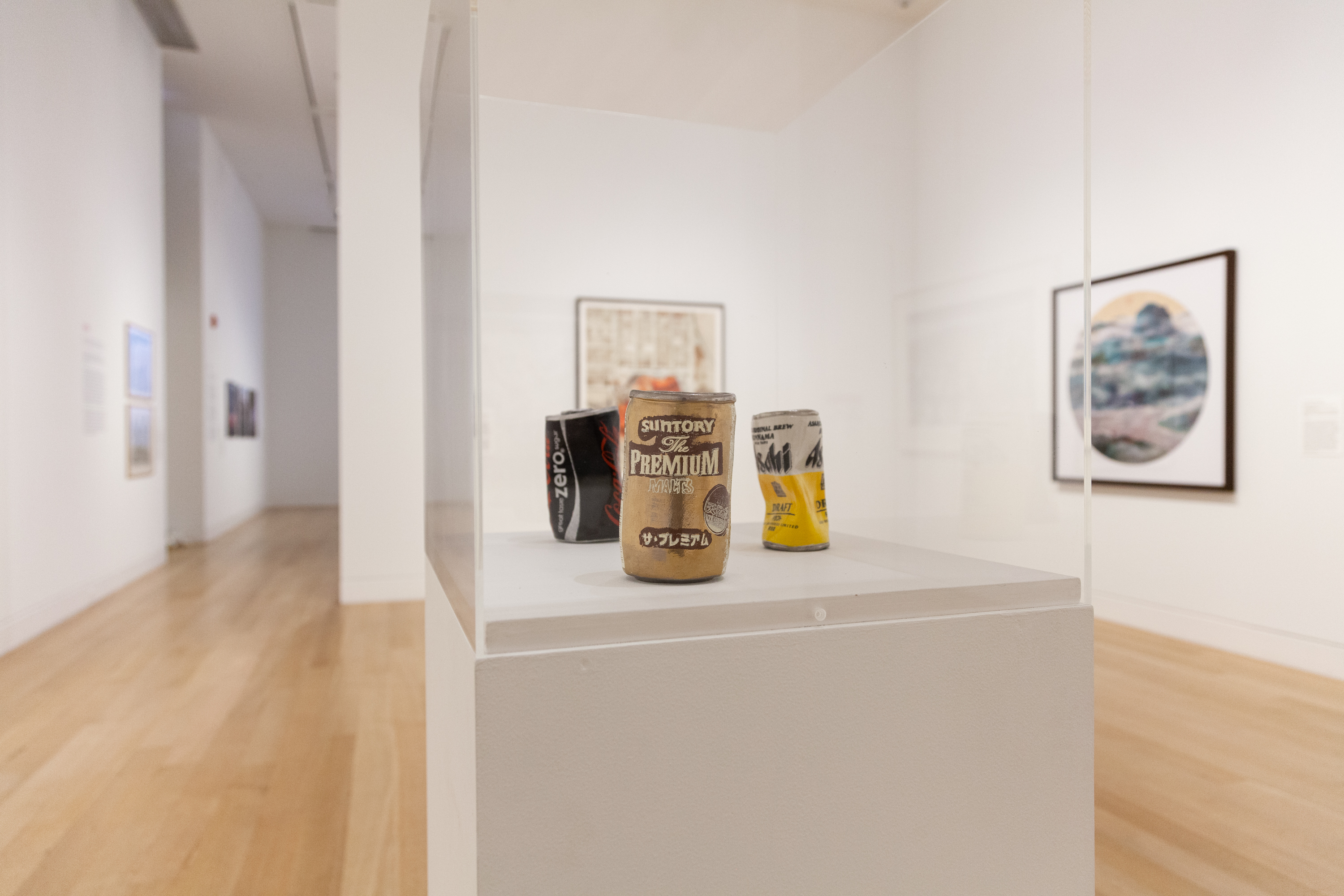 Installation view of The World to Come: Art in the Age of the Anthropocene
